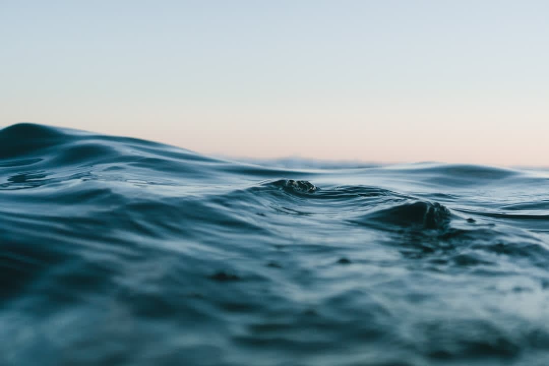 Underwater Oxygen Loss: A Dire Threat to Marine Life & Economies