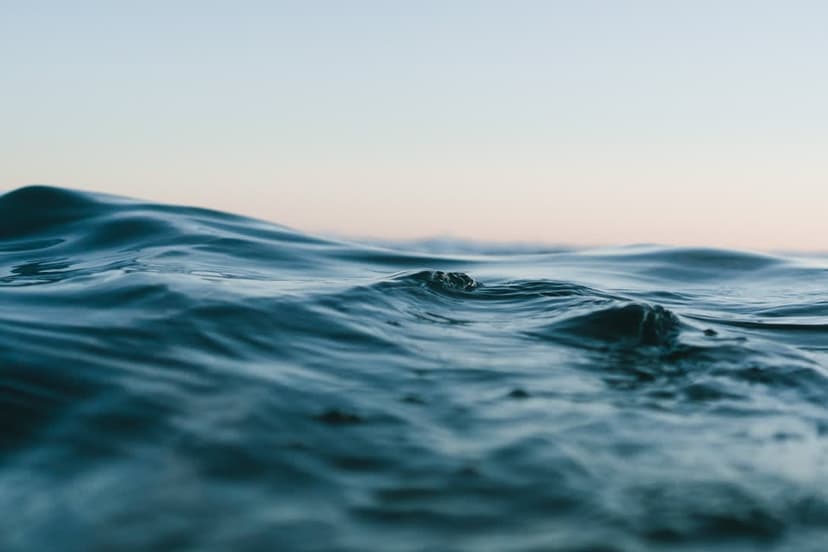 Underwater Oxygen Loss: A Dire Threat to Marine Life & Economies
