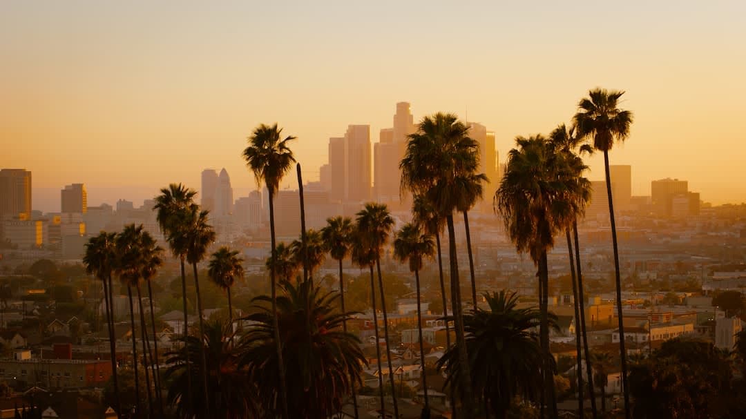 How California's Wealth Chase is Transforming Tech Startups