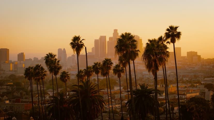 How California's Wealth Chase is Transforming Tech Startups
